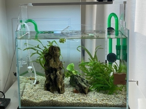 【ADA】水槽、水槽台セット