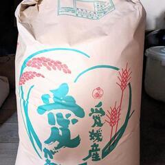 令和4年産 ヒノヒカリ　1袋限定