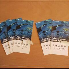 名古屋港水族館 無料チケット