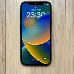 iPhone 12 pro パシフィックブルー 128 GB SIMフリーの画像