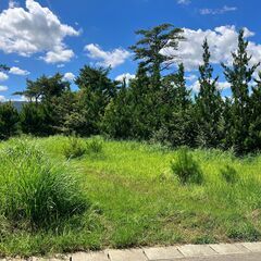 【小川町上小川字大坂　土地】