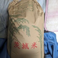令和４年度産玄米３０キロ