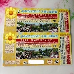 よみうりランド 入園ご招待券  チケット 10/31まで 2枚