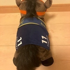 ナリタブライアン　有馬記念　サラブレッド　の画像