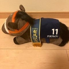 ナリタブライアン　有馬記念　サラブレッド　の画像