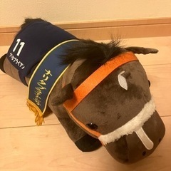 ナリタブライアン　有馬記念　サラブレッド　