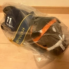 ナリタブライアン　有馬記念　サラブレッド　の画像