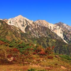 山歩き仲間募集（初心者大歓迎） - メンバー募集