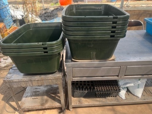 メダカ　容器などに　80リットル　6個