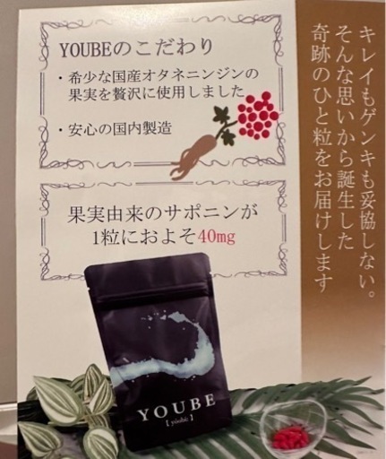 【YOUBE】 〈ネット決済・配送可〉　国産オタネニンジンの果実から作られた貴重なサプリです