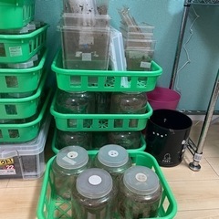 クワガタ・カブトムシ飼育用品