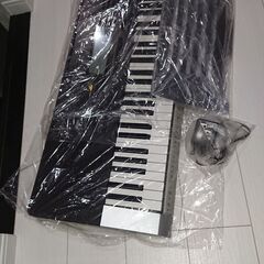  CASIO キーボード CTK-4400の画像