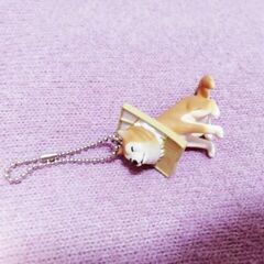 挟まり犬🐶私のコレクション✨柴犬グッズその２🐶【超美品】柴犬が好きな方☺️💕ストラップ✨しょうじに何とも言えない顔ではさまっています🤗💕の画像