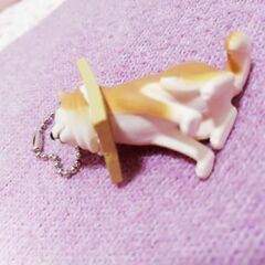 挟まり犬🐶私のコレクション✨柴犬グッズその２🐶【超美品】柴犬が好きな方☺️💕ストラップ✨しょうじに何とも言えない顔ではさまっています🤗💕の画像