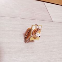 挟まり犬🐶私のコレクション✨柴犬グッズその２🐶【超美品】柴犬が好きな方☺️💕ストラップ✨しょうじに何とも言えない顔ではさまっています🤗💕の画像