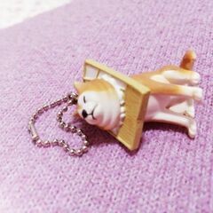 挟まり犬🐶私のコレクション✨柴犬グッズその２🐶【超美品】柴犬が好きな方☺️💕ストラップ✨しょうじに何とも言えない顔ではさまっています🤗💕の画像
