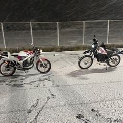 ns1 後期 不動 レストアベースの画像