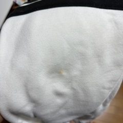 Rady ラインワッペンメンズフーディ の画像