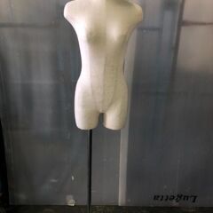 北越谷 19 トルソー マネキン