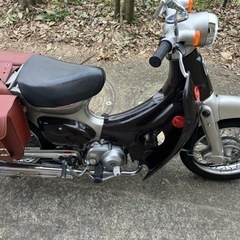 リトルカブ50ccの画像