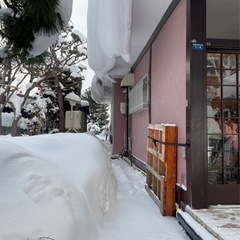 冬の除雪もやってますよ〜