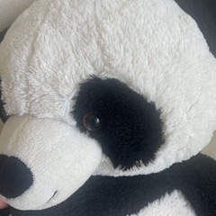 トイザらス　パンダぬいぐるみ大の画像