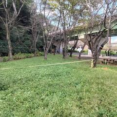 2023/10/1千葉県八千代市でスラックラインはいかがでしょうか