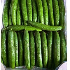 145朝収穫きゅうり！量相談で決めましょう！量が決まりましたら、...