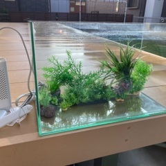 45センチ水槽　お得