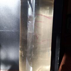 🐟メダカ針子に　ゾウリムシ　⑤