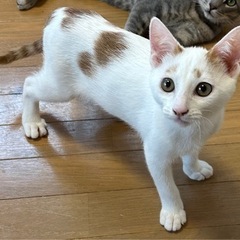 ずっとのおうち決定🌟