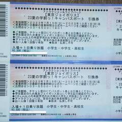 ジョイポリス1日乗り放題チケット　2枚【有効期限10月1日（日）】