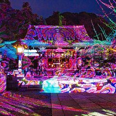 プロジェクションマッピングで秋の夜を演出したい！