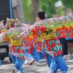 【社会人よさこいチーム】第二期メンバー募集開始 − 富山県