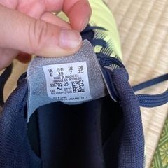 PUMAトレーニングシューズの画像