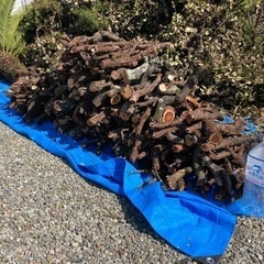 [受け渡し予定者決定]　薪　枝(ウバメガシ、カイヅカイブキなど)の画像
