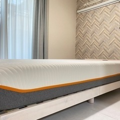 【テンピュール】シングル　かため　250mm