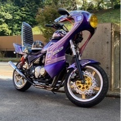 zephyr400の画像