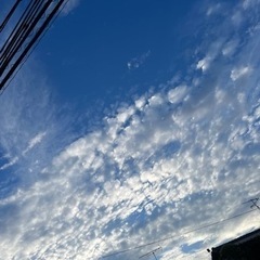 火曜日あいてる方！！　テニスしましょうよ〜(^ ^)