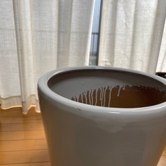 植木鉢　鉢カバー　白　観葉植物の画像