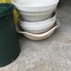 鉢の画像