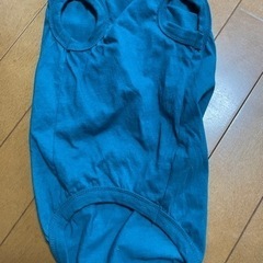 Tシャツ室内着の画像