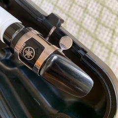 【決定】YAMAHA ヴェノーヴァの画像