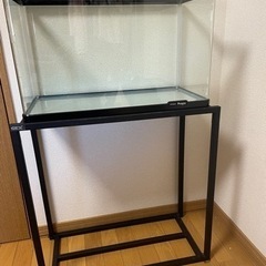 【決まりました】コーナー無し600水槽＋二段式水槽台セット　美品　ガラス蓋付き　アクアリウムの画像