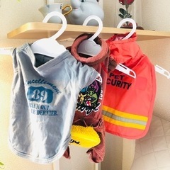 【急募❗️】クリーニング済☆犬服☆ペット服☆まとめ売り☆小型犬サ...
