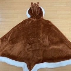 ポンチョ　チップとデール　ディズニー　ハロウィンの画像