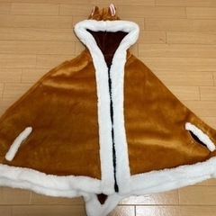 ポンチョ　チップとデール　ディズニー　ハロウィンの画像