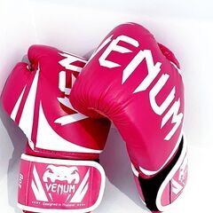 パーソナルキックボクシング　PERSONAL MITT 豊田の画像