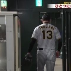 一緒に阪神タイガースを応援しましょう‼️LINEグループも‼️