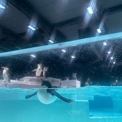 自由に生きたい🥺